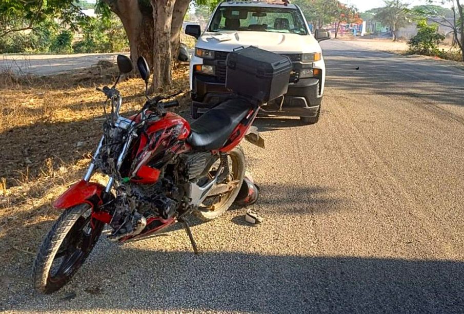 Muere vaca tras accidente de moto