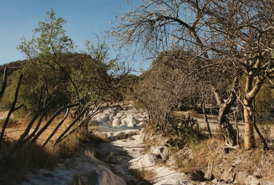 Sequía afecta a municipios costeros de Jalisco