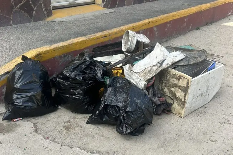 Limpieza río Mismaloya reúne a voluntarios y estudiantes