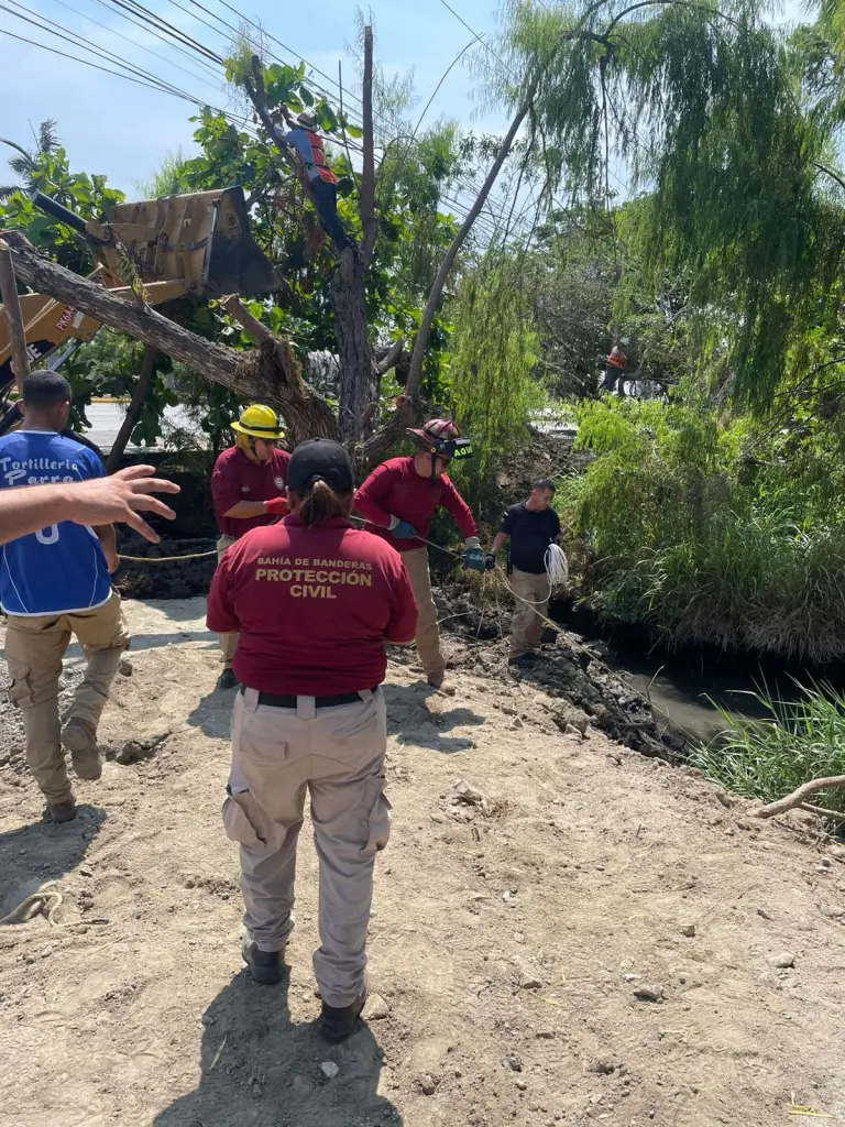 Avistamiento de cocodrilos en Bahía