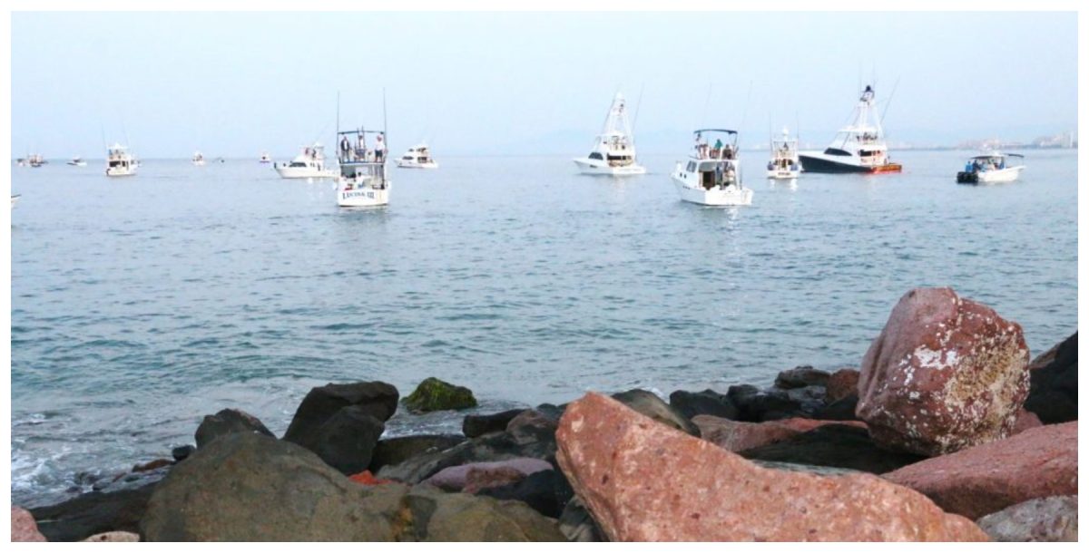 Embarcaciones Puerto Vallarta