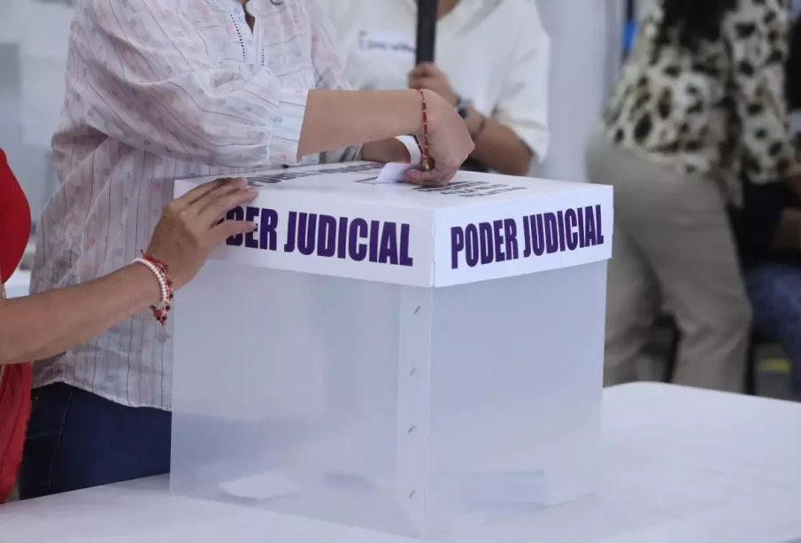 Persona votando