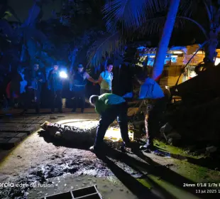 cocodrilo muerto en calles de Vallarta