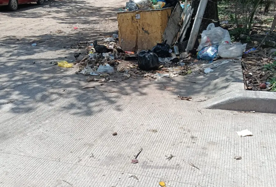 Basura en las calles.
