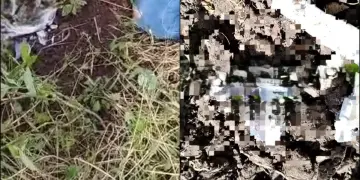 Hallan restos óseos en Punta de Mita