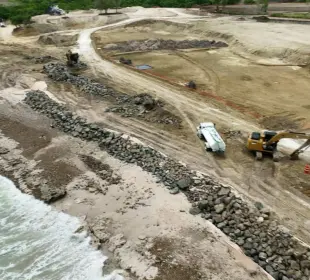 Ecocidio en Punta de Mita: desarrollo destruye manglar