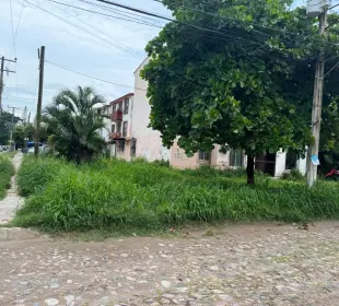 Vecinos de Los Sauces denuncian foco de infección por mosquitos