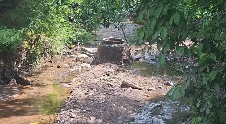 Fuga en Loma Bonita.