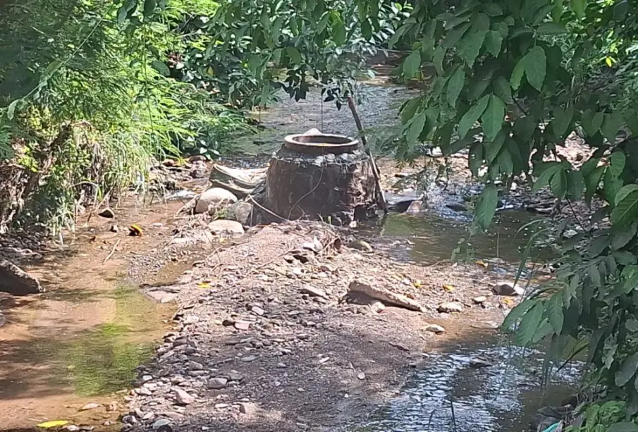 Fuga en Loma Bonita.