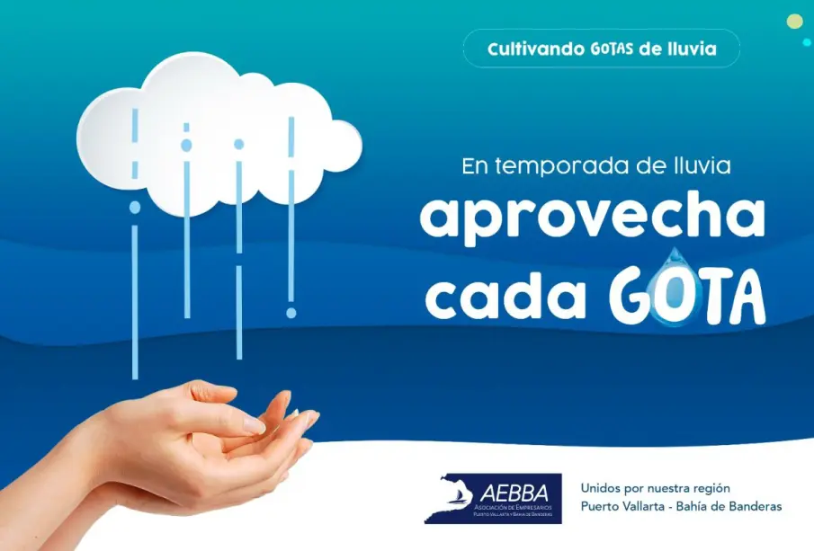 Comunicado educación ambiental