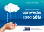 Comunicado educación ambiental