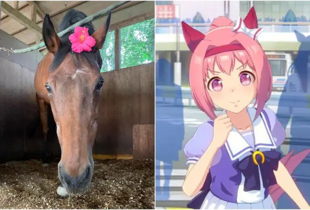 Haru Urara y Umamusume
