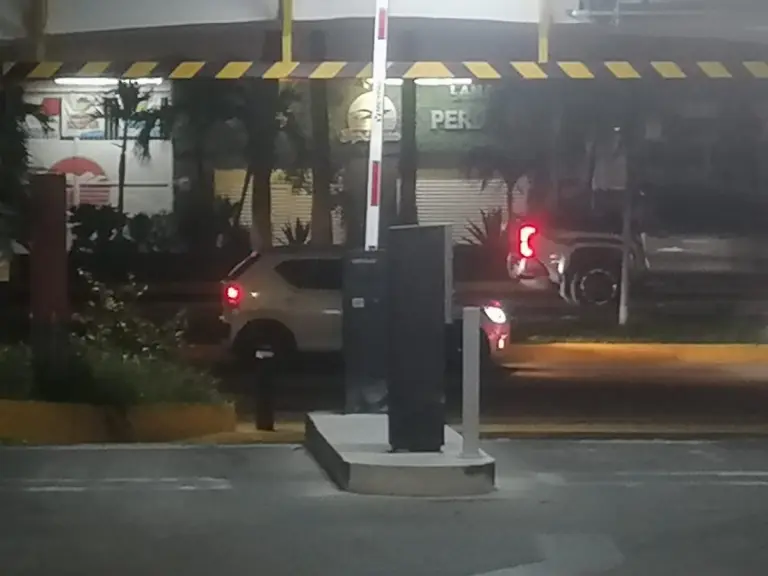 Plumas de estacionamiento