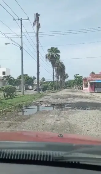 Baches en calles de Palma Real1
