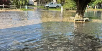 Oleaje en Playas de Compostela