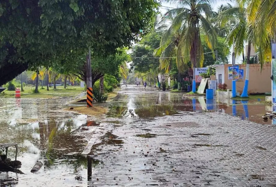 Priscilla afecta a playas de Bahía