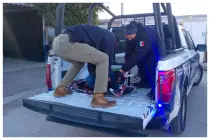 Apuñalan a perrita en Torreón y la dejan gravemente herida