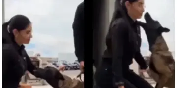 Geraldine Ponce niega demanda tras incidente con perro policía en Tepic