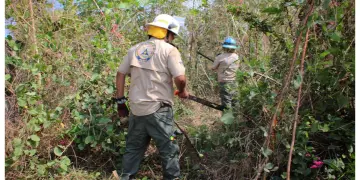 Puerto Vallarta contará con nueva base estatal de Protección Civil y Bomberos