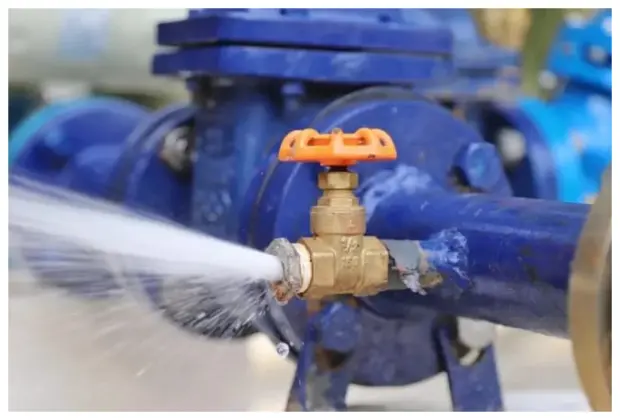 Carmina Regalado exige solución a la falta de agua en Bahía de Banderas