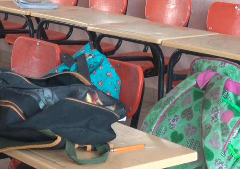 Niños sentados en un patio escolar escuchando una platica impartida por Casa Sheila sobre el  cuidado animal