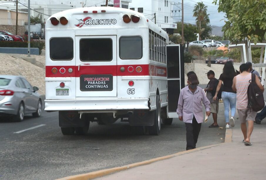 Transporte-publico-en-San-Jose-del-Cabo