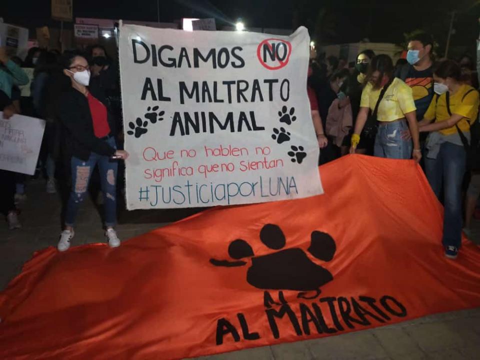 Manifestación contra el maltrato animal en La Paz