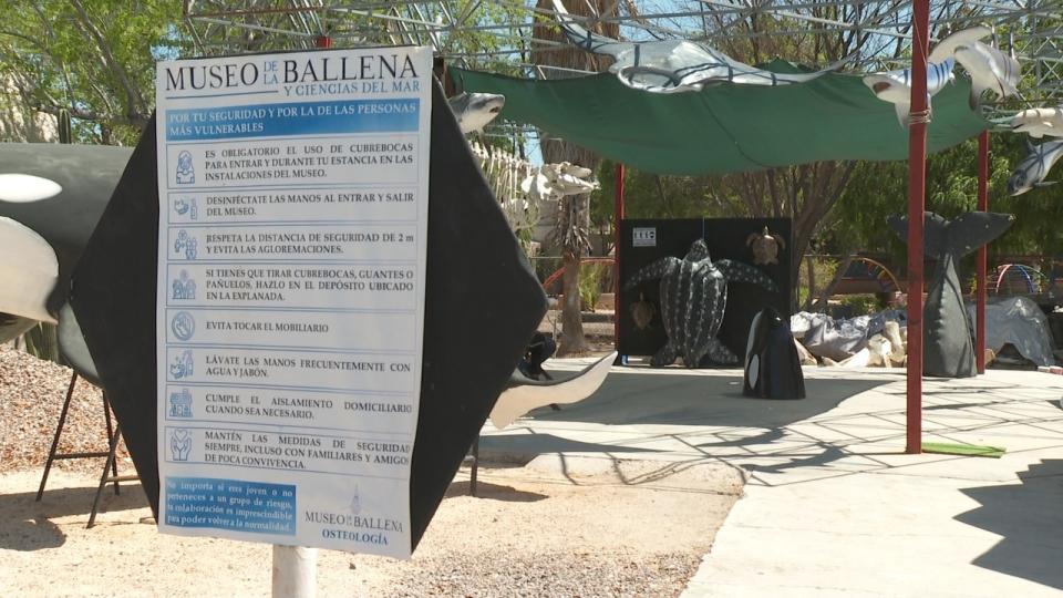 Museo de la ballena 