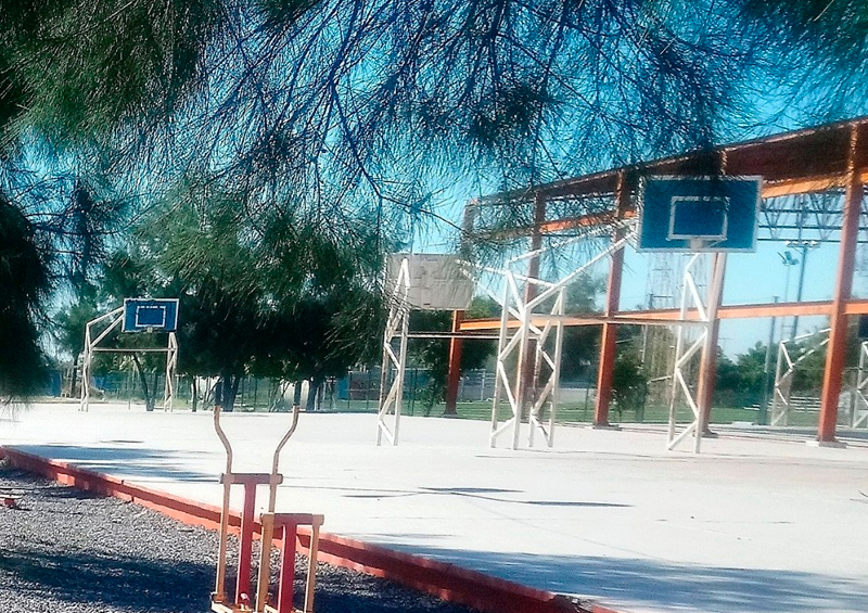 Chanchas de Basketball