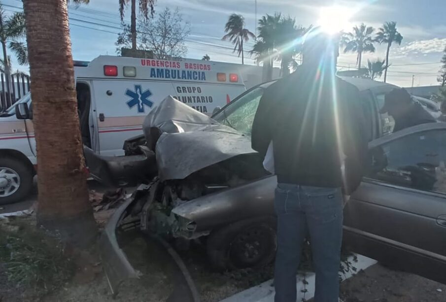 Ambulancia atendiendo choque contra árbol