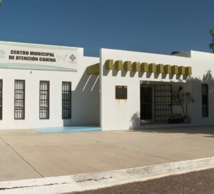 Centro Municipal de Atención Canina en La Paz.