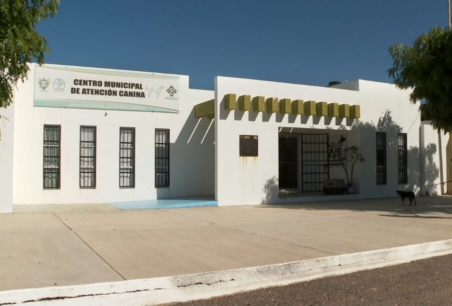 Centro Municipal de Atención Canina en La Paz.