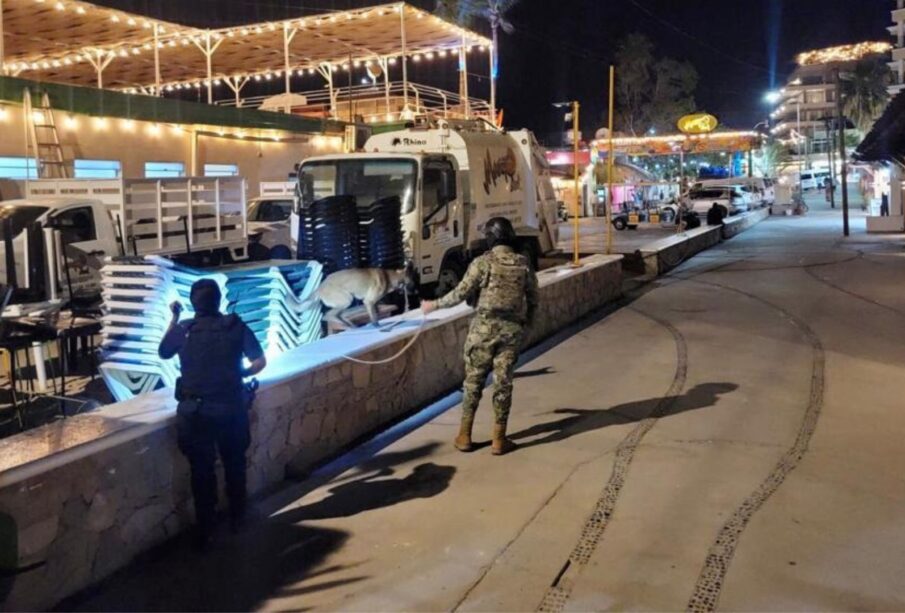 Elementos de la Guardia Nacional en la zona de la Marina de Cabo San Lucas realizando operativo antidroga con binomios caninos.