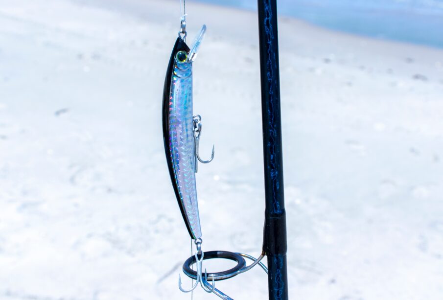 Gancho de pesca con un pez en la punta.