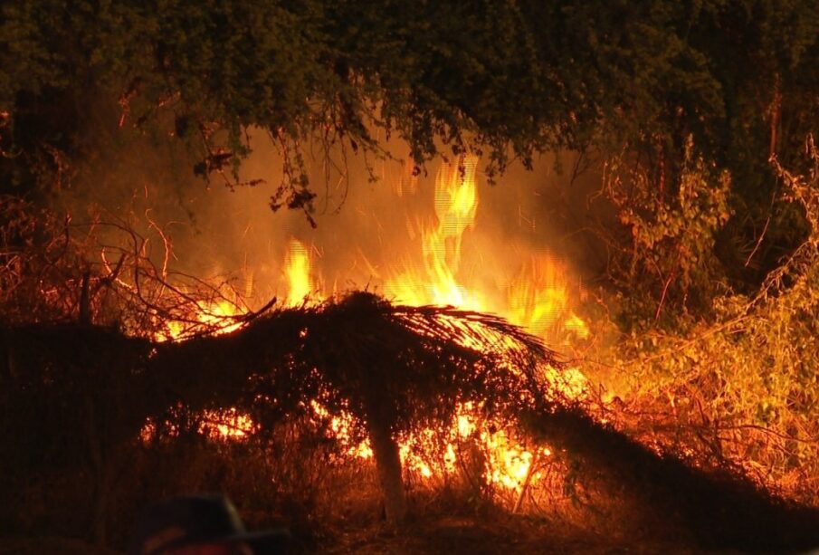 Incendio en el estero Josefino.