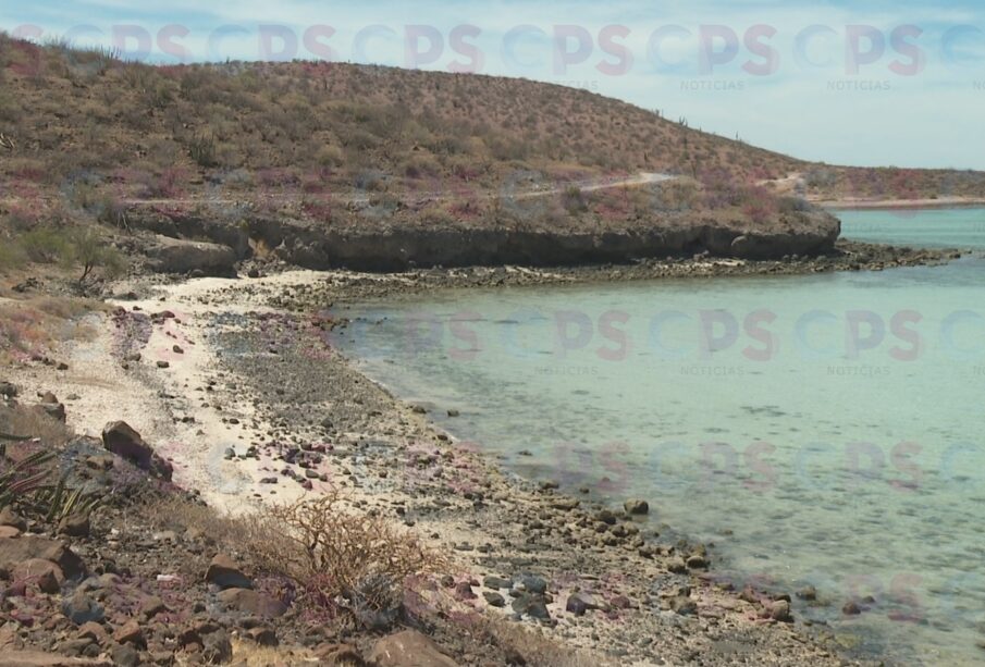 Playa de Balandra en La Paz.