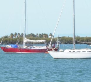 Veleros en mar