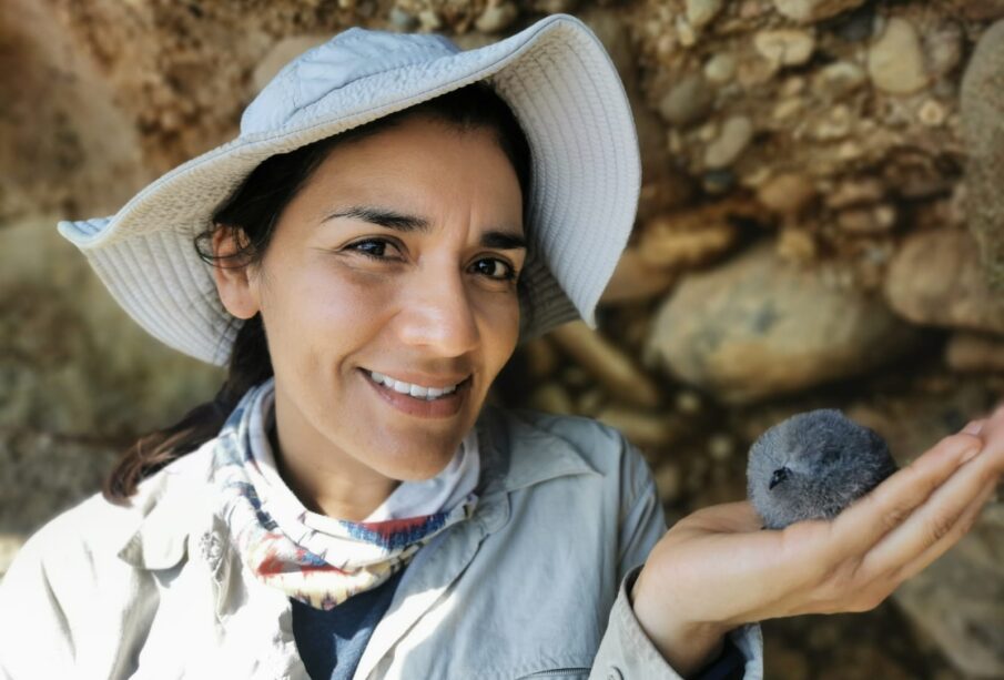 Yuliana Bedolla Guzmán, egresada de Biología Marina de la UABCS.