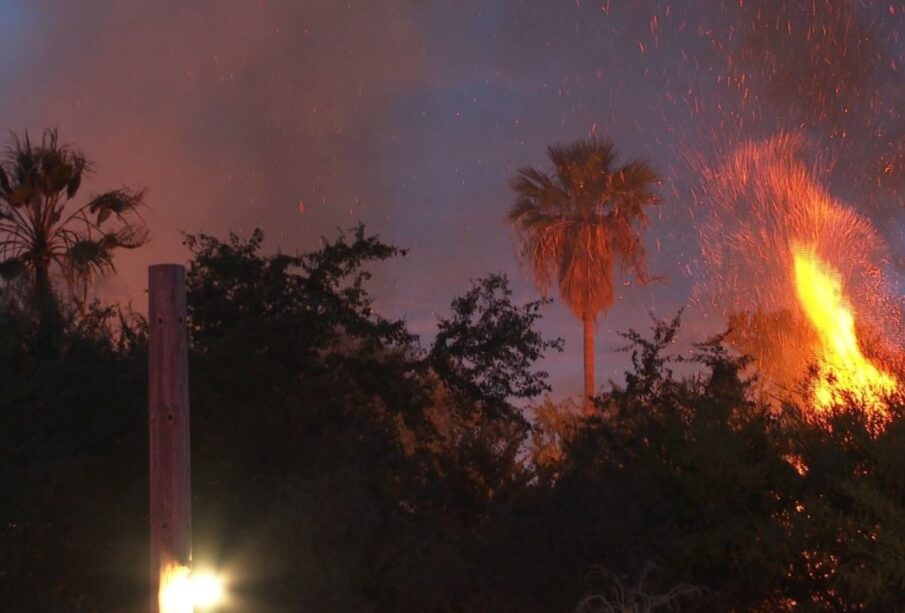 Incendio en estero de San José del Cabo