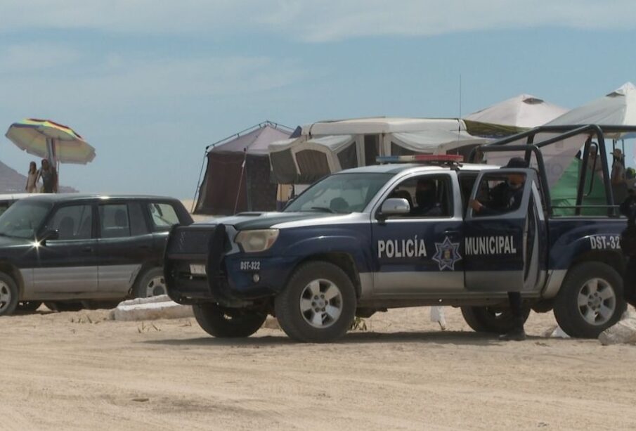 Binomios caninos ayudarán en la seguridad