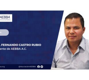 Fernando Castro, presidente de la AEBBA