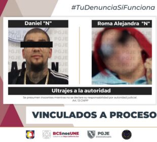 Ficha de vinculación a proceso de Daniel "N" y Roma Alejandra "N"