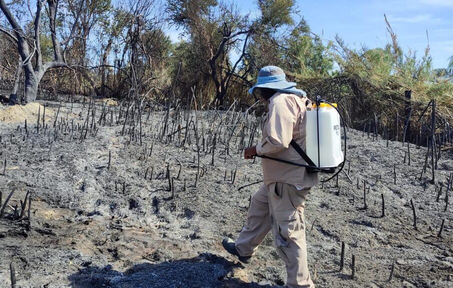 Una persona recorriendo un terreno calcinado