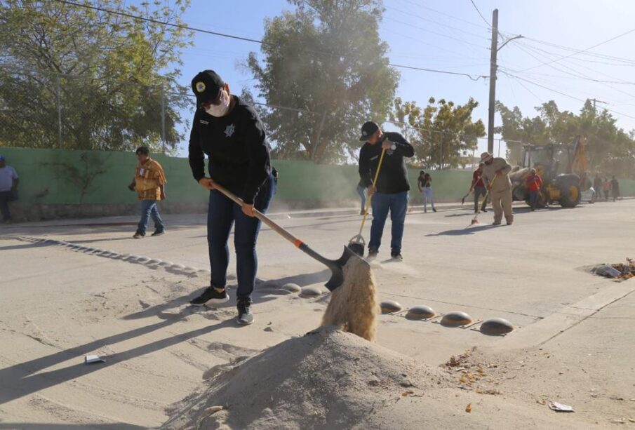 Jornada de limpieza en San José del Cabo