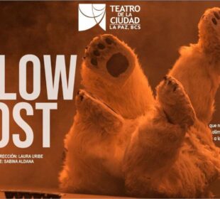 Obra de Teatro "Low Cost"