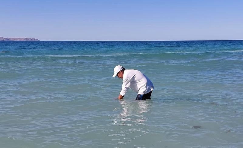 Un hombre dentro del mar en playa El Tecolote