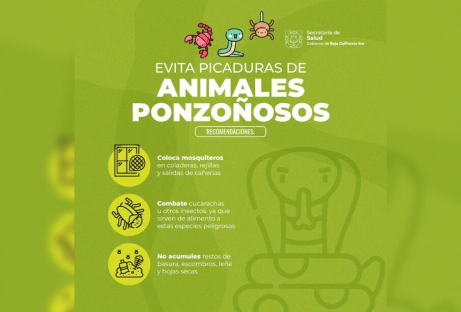 Recomendaciones para prevenir accidentes con animales ponzoñosos