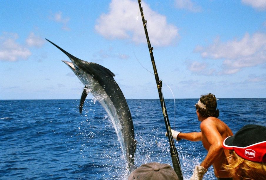 Baja California Sur continúa con torneos de pesca deportiva