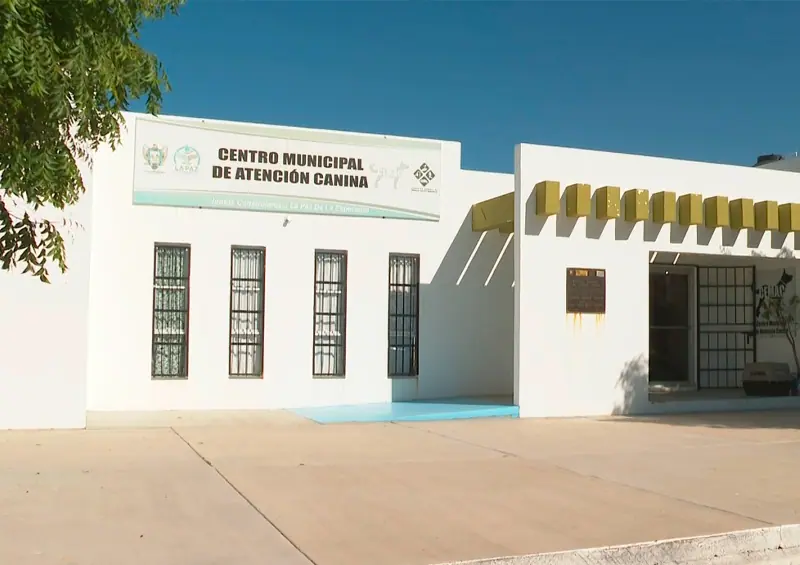 -Demandan-a-CEMAC-por-maltrato-animal
