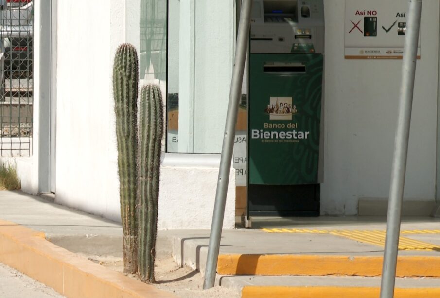 Cactus en acceso de banco bienestar